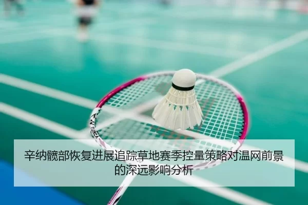 辛纳髋部恢复进展追踪草地赛季控量策略对温网前景的深远影响分析